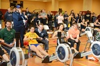 Hammer Ergatta 2016